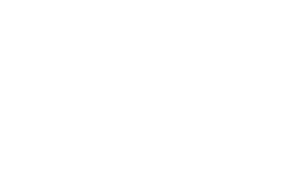 チェラミカマックスジャパン公式サイト